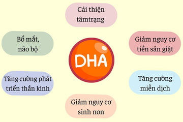 DHA cho bà bầu: Hướng dẫn chi tiết giúp thai nhi phát triển trí não tối ưu