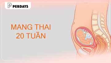 Thai 20 tuần phát triển ra sao? Giải đáp chi tiết cho mẹ bầu