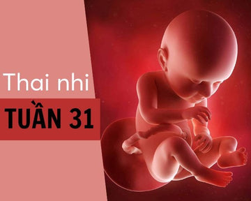 thai nhi 31 tuần phát triển ra sao