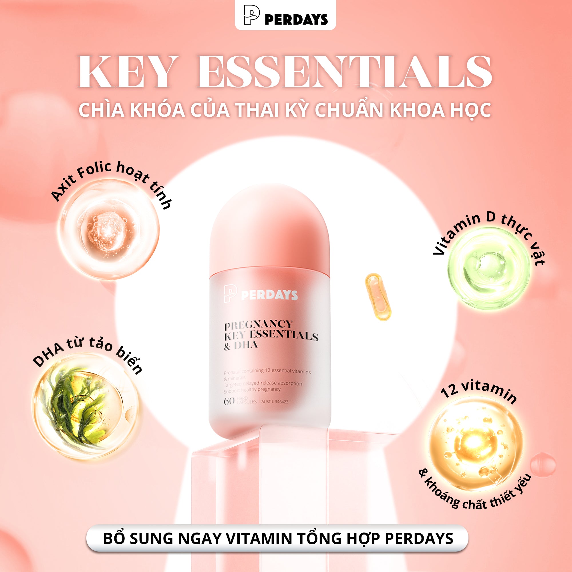 Viên uống bổ sung Vitamin Tổng Hợp & DHA - PERDAYS Pregnancy Key Essentials & DHA