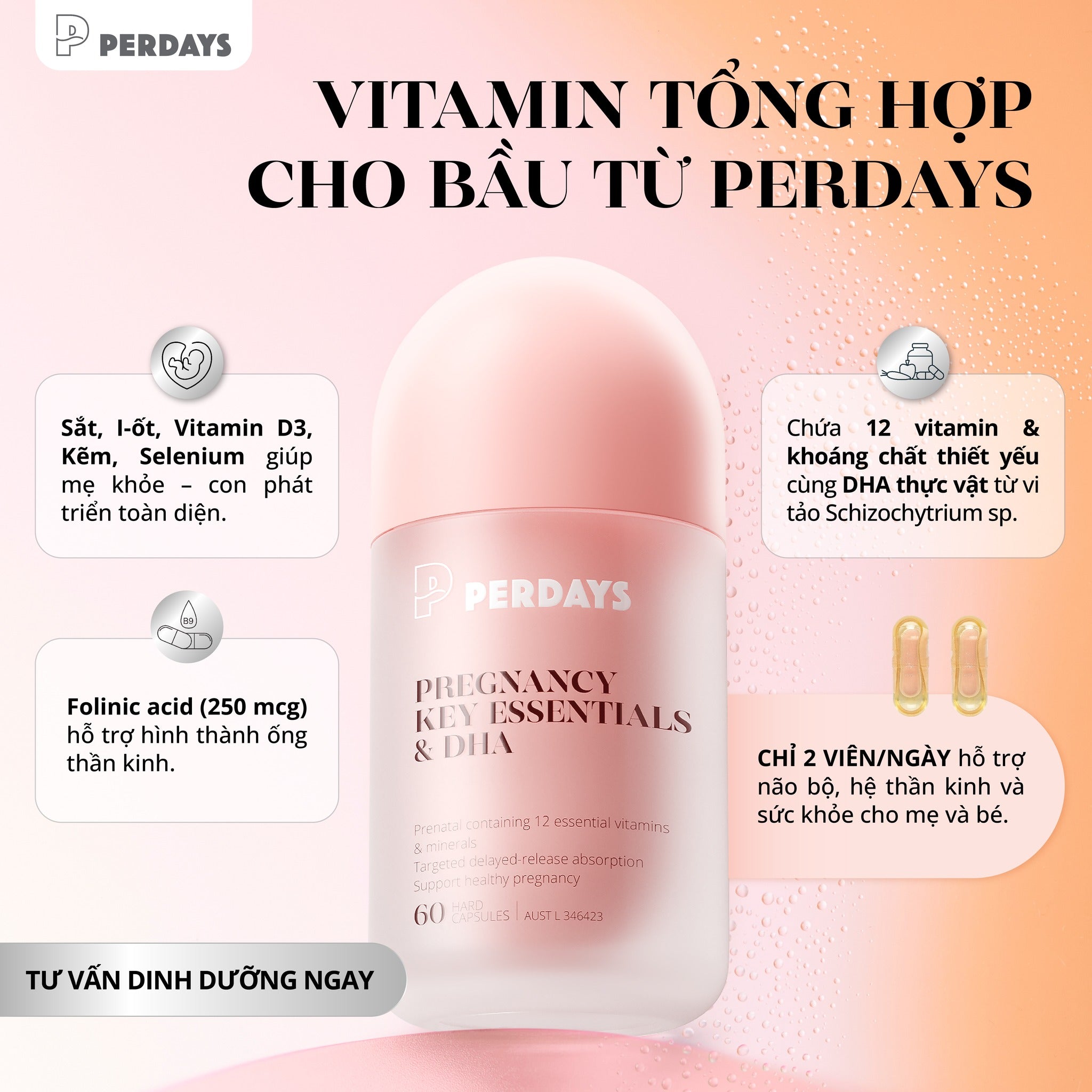 Viên uống bổ sung Vitamin Tổng Hợp & DHA - PERDAYS Pregnancy Key Essentials & DHA
