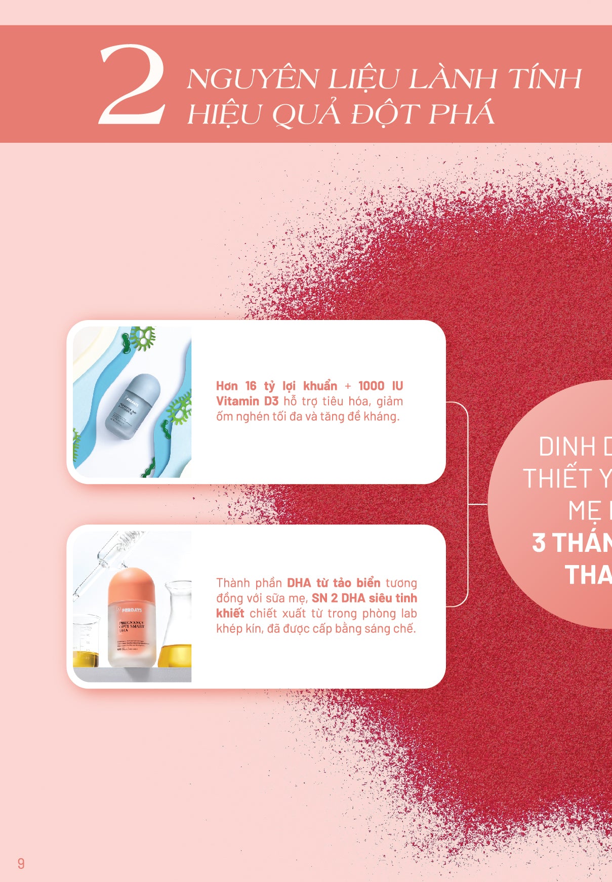 3 Tháng Đầu Thai Kỳ – Dinh Dưỡng Vững Vàng Cho Mẹ Và Bé - COMBO 5 LỌ